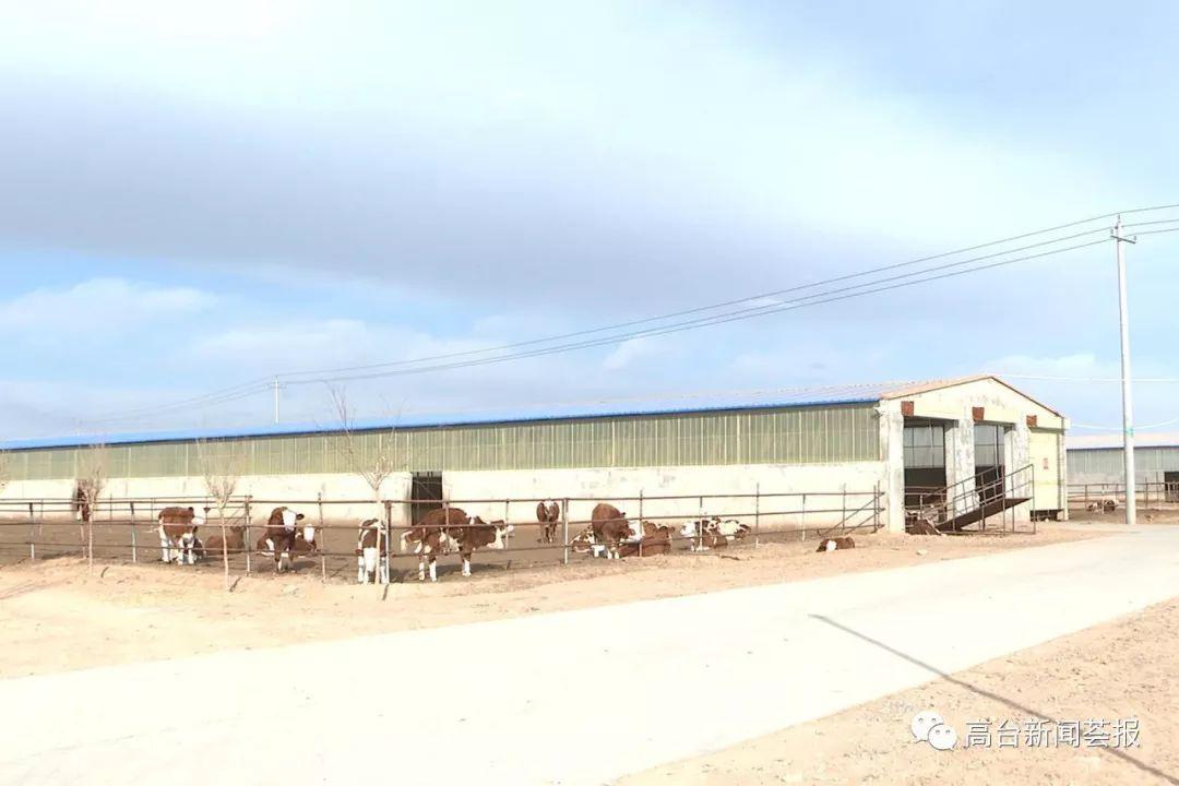 最新養(yǎng)殖場(chǎng)建設(shè)政策解讀，探索之旅啟程