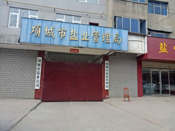 項城最新資訊匯總