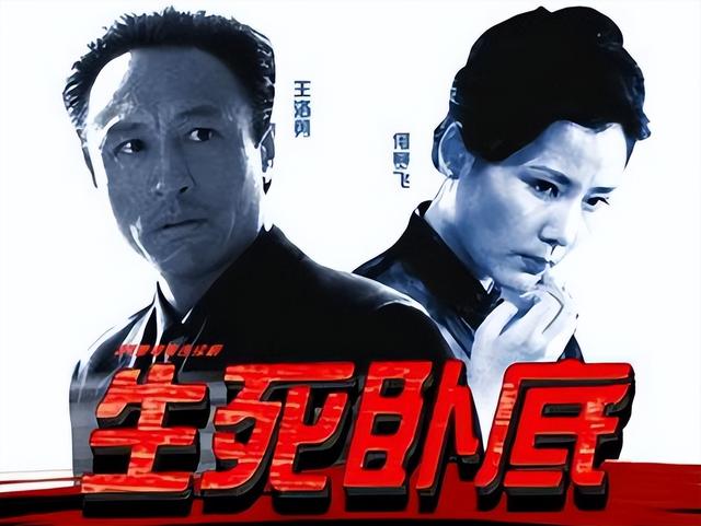 中國(guó)毒梟電視劇大全，友情與陪伴的溫馨日常之旅