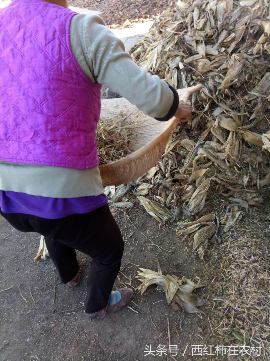 彬縣撤縣設(shè)區(qū)最新進(jìn)展，最新動(dòng)態(tài)更新