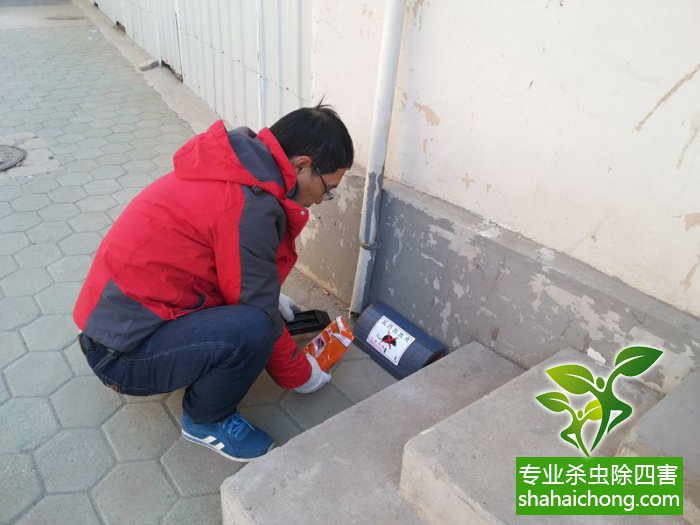 最新滅鼠技術(shù)的觀點(diǎn)論述與立場闡述，創(chuàng)新方法的探索與挑戰(zhàn)