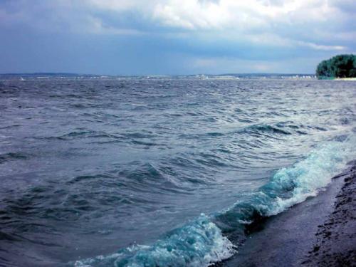 佳木斯新版，時(shí)代印記與變遷的見(jiàn)證者