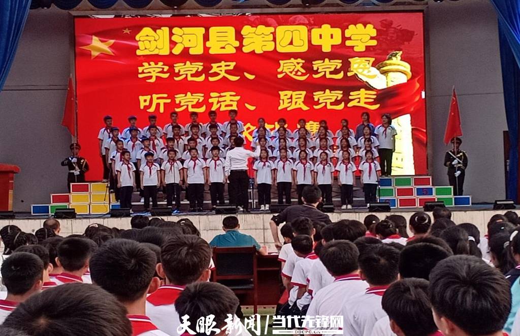 青蛙與狗的泳池挑戰(zhàn)，揭秘游泳比賽背后的故事，青蛙夢(mèng)工廠的秘密探索