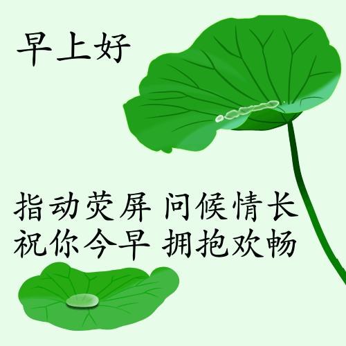 最新疫情動(dòng)態(tài)下的自然探索之旅，追尋內(nèi)心的平和與寧?kù)o