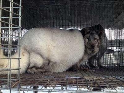 工程廠(chǎng)房燈具 第170頁(yè)