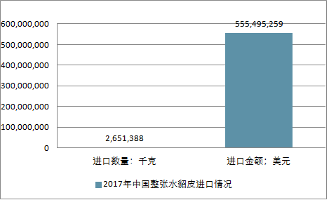 關于水貂行情的深度解析與預測，展望2025年水貂市場趨勢
