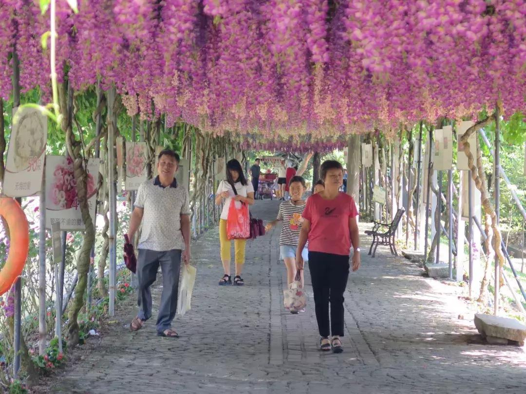 收入寶全新版本，家庭與友情的交織故事