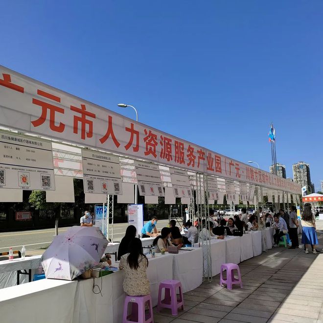 廣元最新招聘資訊詳解，觀點闡述與解析