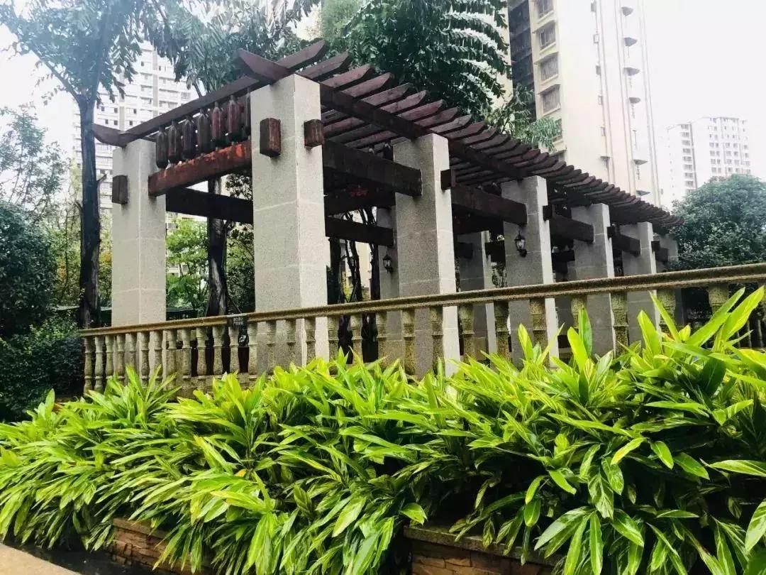 陽光江山金岸最新動態(tài)揭秘，全面指南與步驟詳解