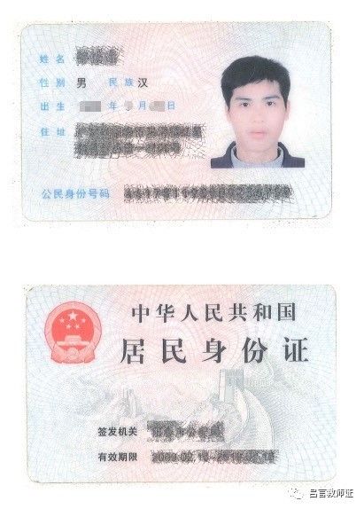 最新證照，友情與陪伴的溫馨故事之旅