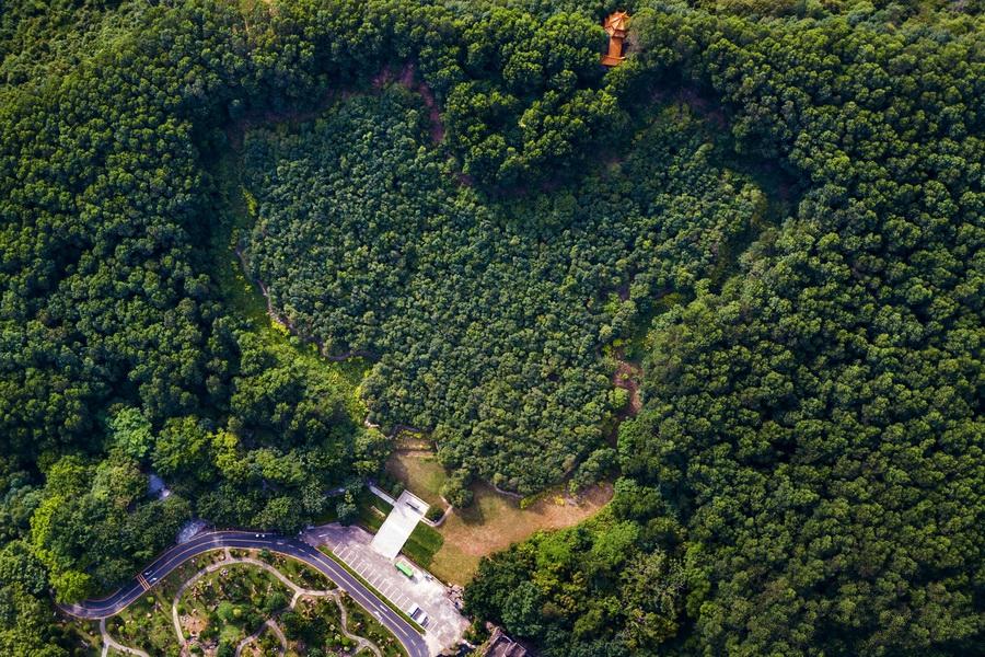 香港演員林，溫馨日常的點滴記錄