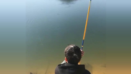 楊柏文最新垂釣視頻，從初學(xué)者到進(jìn)階用戶的技能提升指南