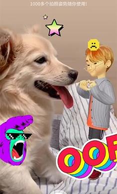 崽崽最新版下載，一段充滿愛與陪伴的溫馨旅程