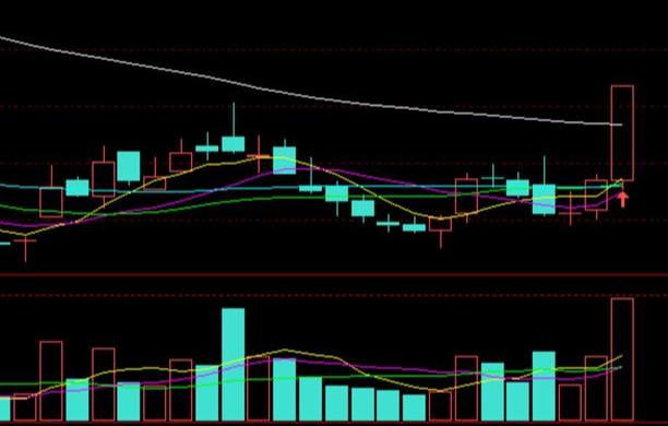 融捷最新公告詳解，任務(wù)完成指南與技能學(xué)習(xí)步驟全面解析
