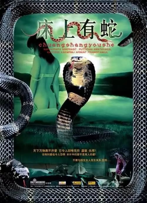 最新蛇片，蛻變的旅程，召喚自信與成就感的冒險之旅