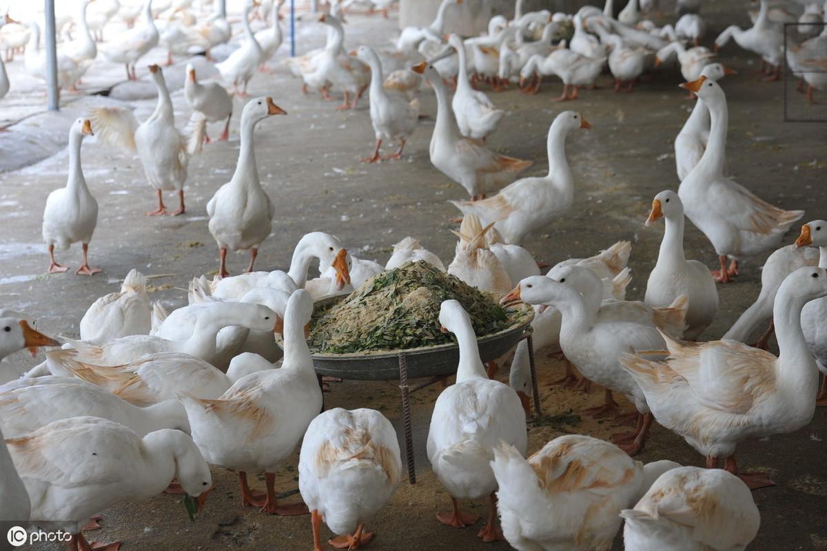 廣場燈具 第146頁