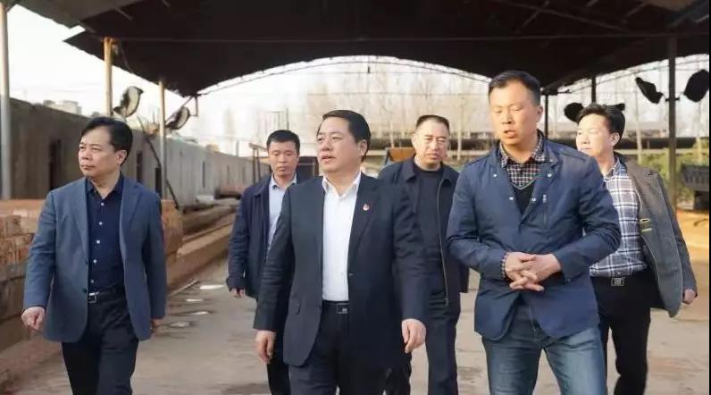 商丘王仲田最新動態(tài)，探索自然美景的旅行，尋求內心平和之旅