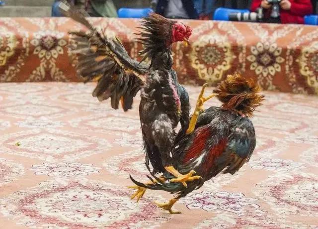 LED光源 第143頁(yè)