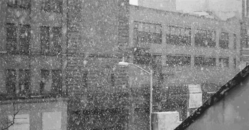 邳州最新天氣預(yù)報(bào)，氣象風(fēng)云變幻，一場關(guān)于天氣的辯論開啟