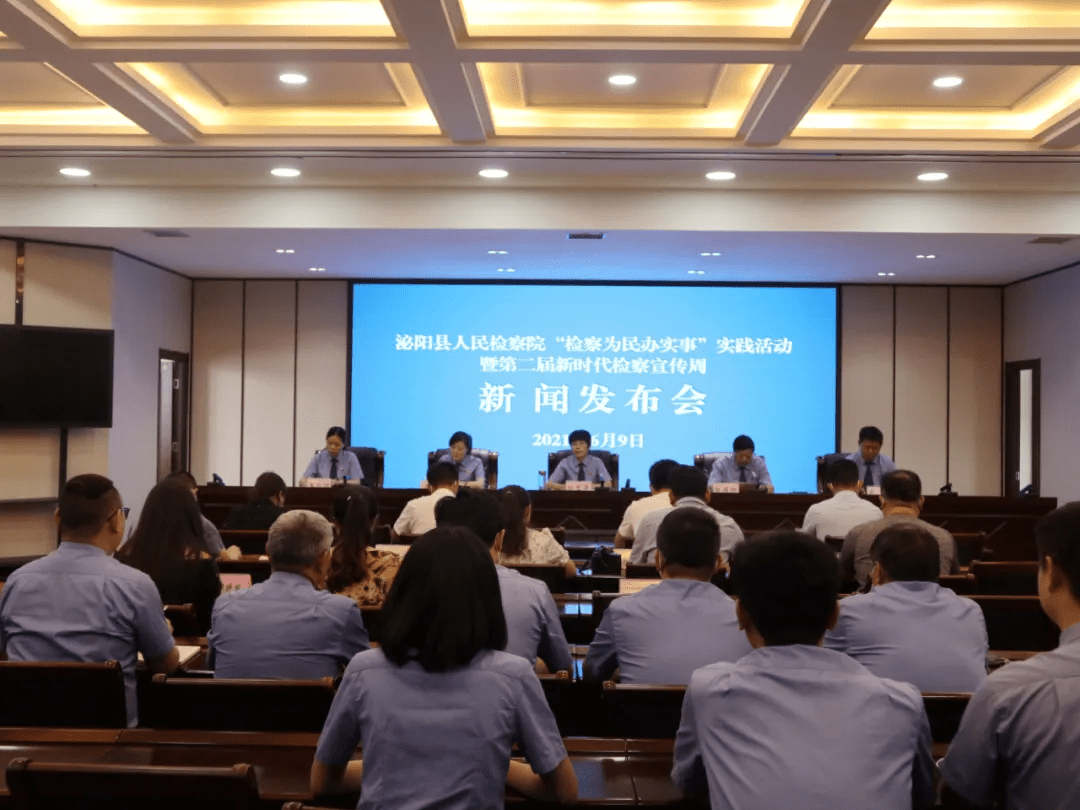 泌陽新聞最新動態(tài)，多元視角下的觀察與思考