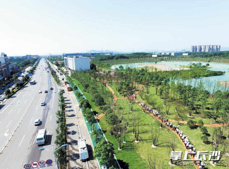 長沙黃橋大道崛起，夢想啟航之路最新動態(tài)
