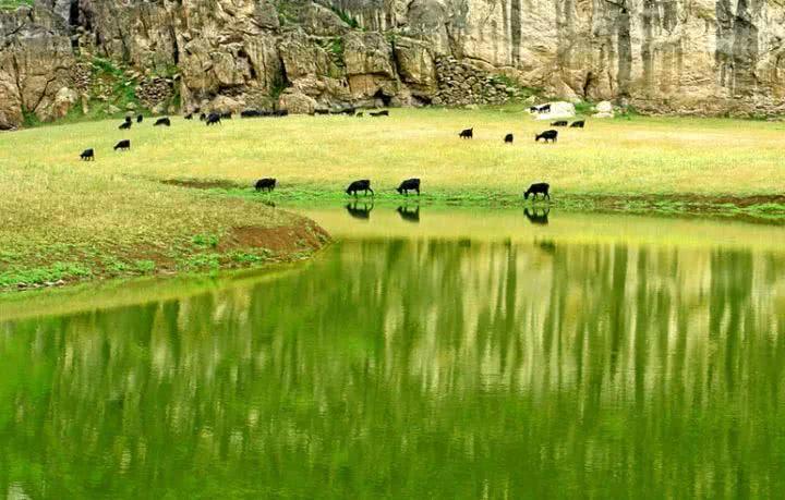 青草最新在線視頻，自然與科技融合之美展現(xiàn)的力量