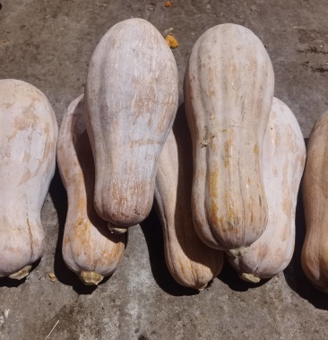 工程廠房燈具 第142頁(yè)