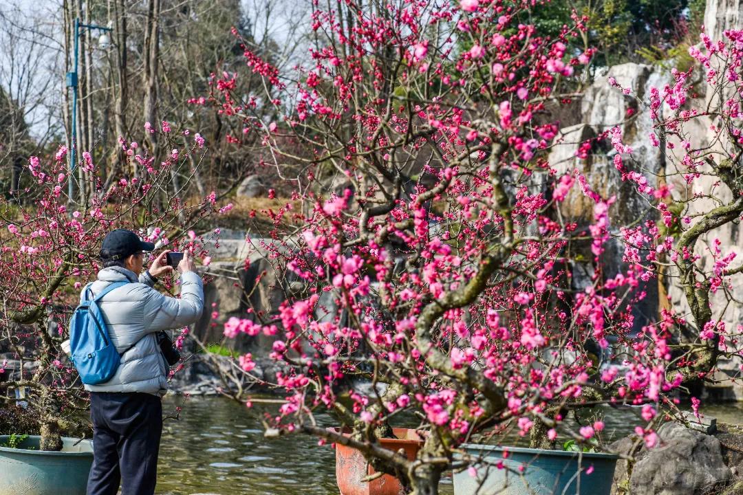 秀麗東方最新動(dòng)態(tài)，啟程探索自然之美，尋找內(nèi)心寧靜之旅