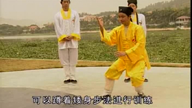 太極最新音樂，傳統(tǒng)與現(xiàn)代的完美融合藝術(shù)展現(xiàn)