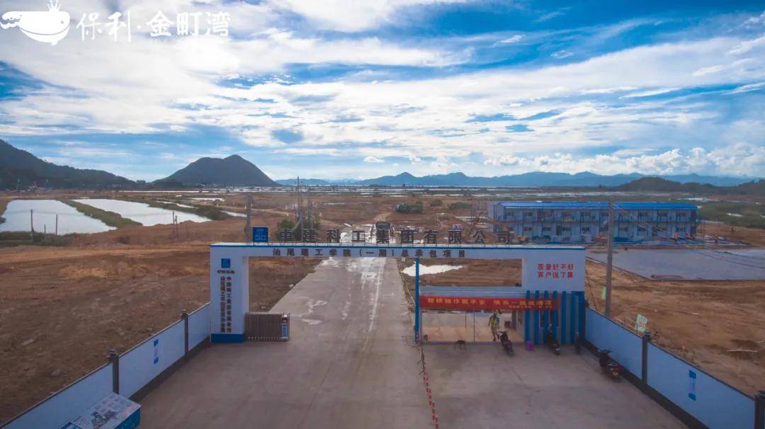 汕尾最新大項目揭秘，小巷深處的獨特風味