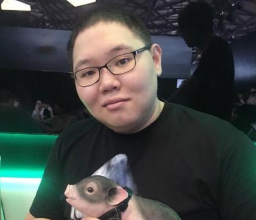 PDD最新直播視頻，直播界的璀璨明星閃耀時(shí)刻