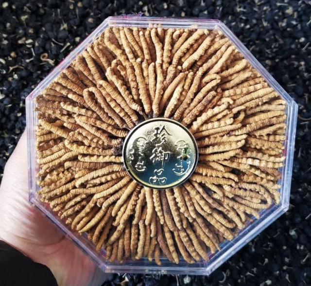 謝干最新價(jià)格及知識(shí)價(jià)值展現(xiàn)自信閃耀的魅力