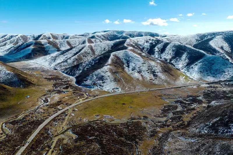 蘭西最新新聞，學(xué)習(xí)之光，自信與成就感的源泉