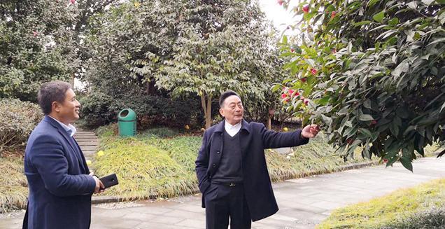 最新花木求購(gòu)，開啟一場(chǎng)尋綠之旅的溫馨旅程