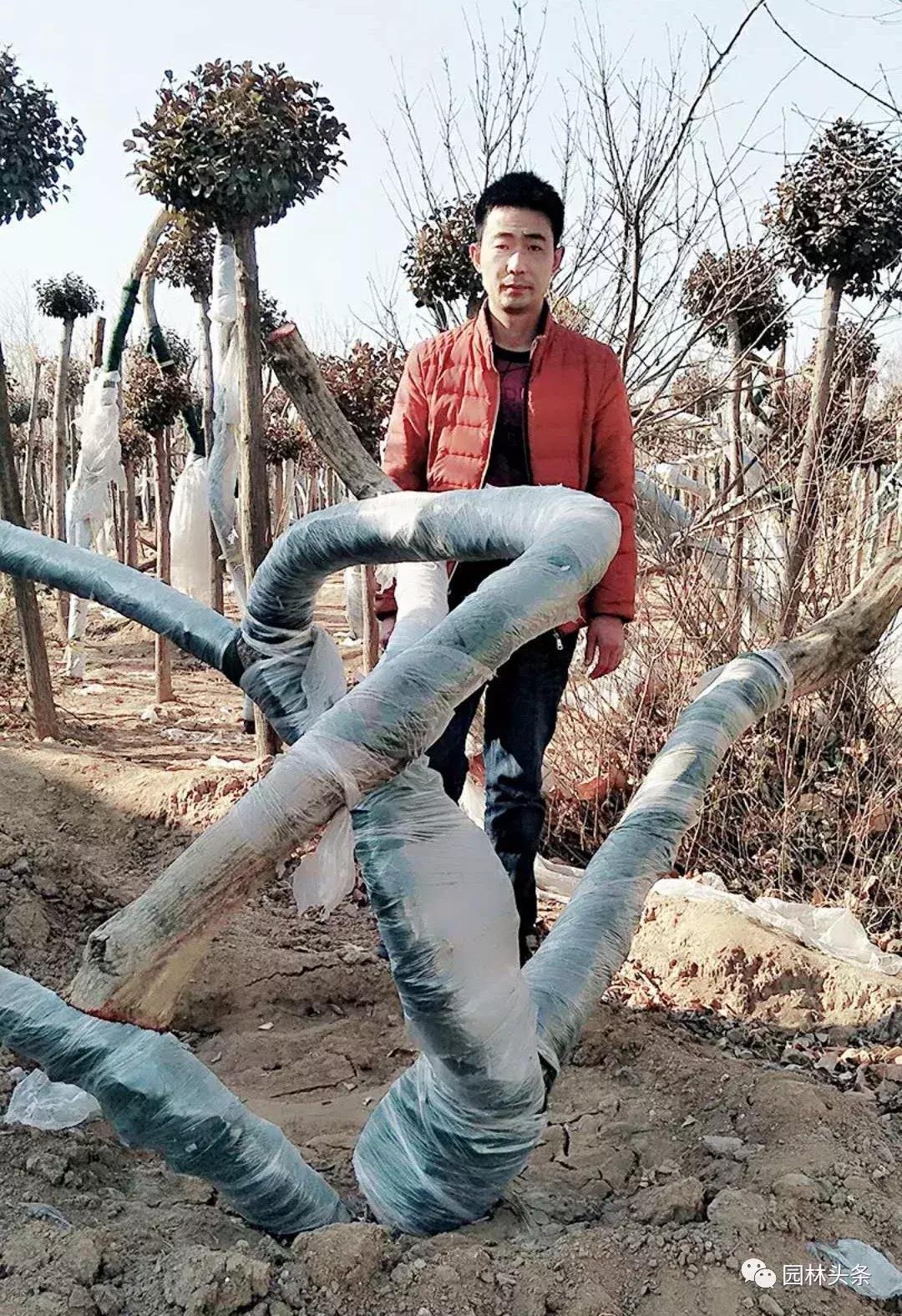 定州最新急招工，時代的呼喚與行業(yè)重塑的挑戰(zhàn)