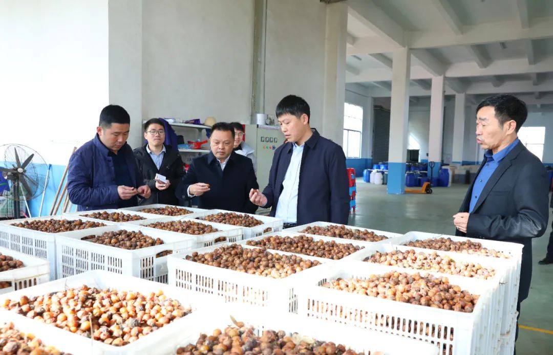 建寧最新新聞，城市溫馨日常與友情力量的展現(xiàn)