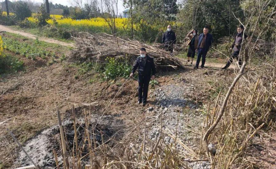 溧陽最新天氣，氣象變遷與地域影響探究