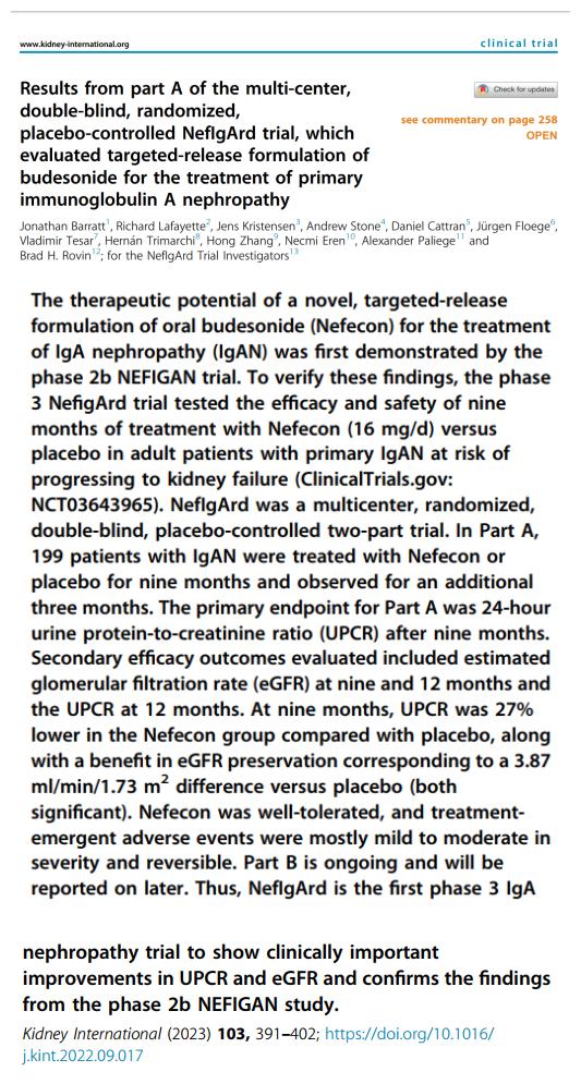 IGA腎病最新突破，醫(yī)學奇跡在小店中綻放的獨特魅力