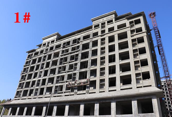 平輿最新樓盤(pán)市場(chǎng)現(xiàn)狀與前景展望，深度解析市場(chǎng)趨勢(shì)與發(fā)展前景展望