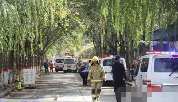 安陽(yáng)最新事件，溫馨日常與不期而遇的友情之旅