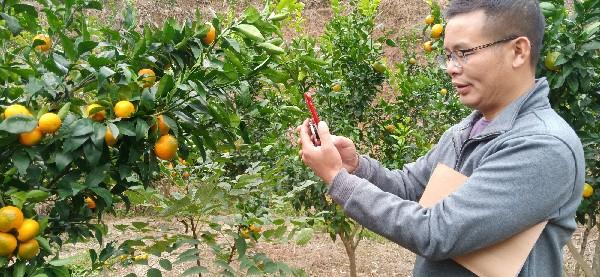 活力四溢的湘西門戶——沅陵最新紅網(wǎng)動態(tài)