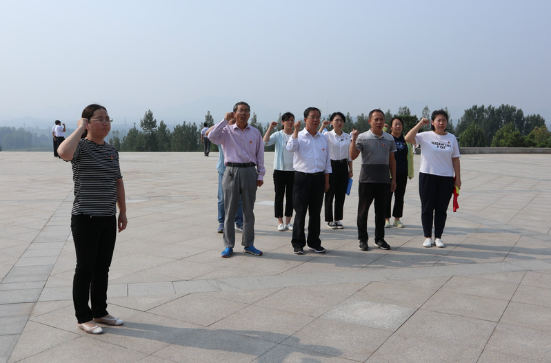 肥城房產(chǎn)最新動態(tài)，市場走勢、熱門區(qū)域與案例分析