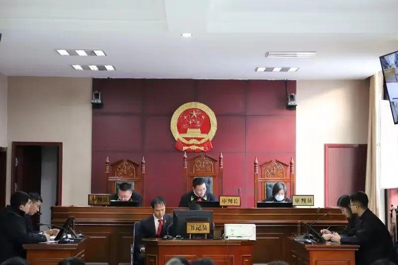 偏關(guān)最新案件深度解析，揭示真相，關(guān)注社會公正與公平