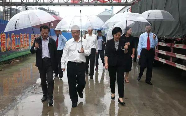 最新金丹科技引領(lǐng)科技新潮流，開啟未來之門！