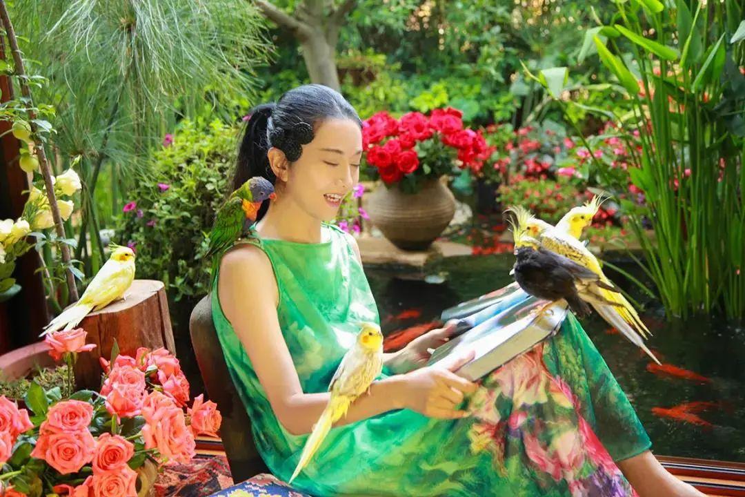 昆明最新舞蹈，文化現(xiàn)象的深度探討