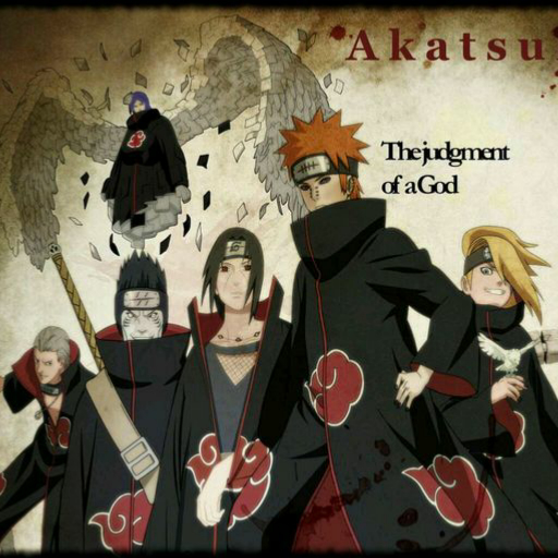 曉組織最新動態(tài)揭秘，探究其發(fā)展與影響