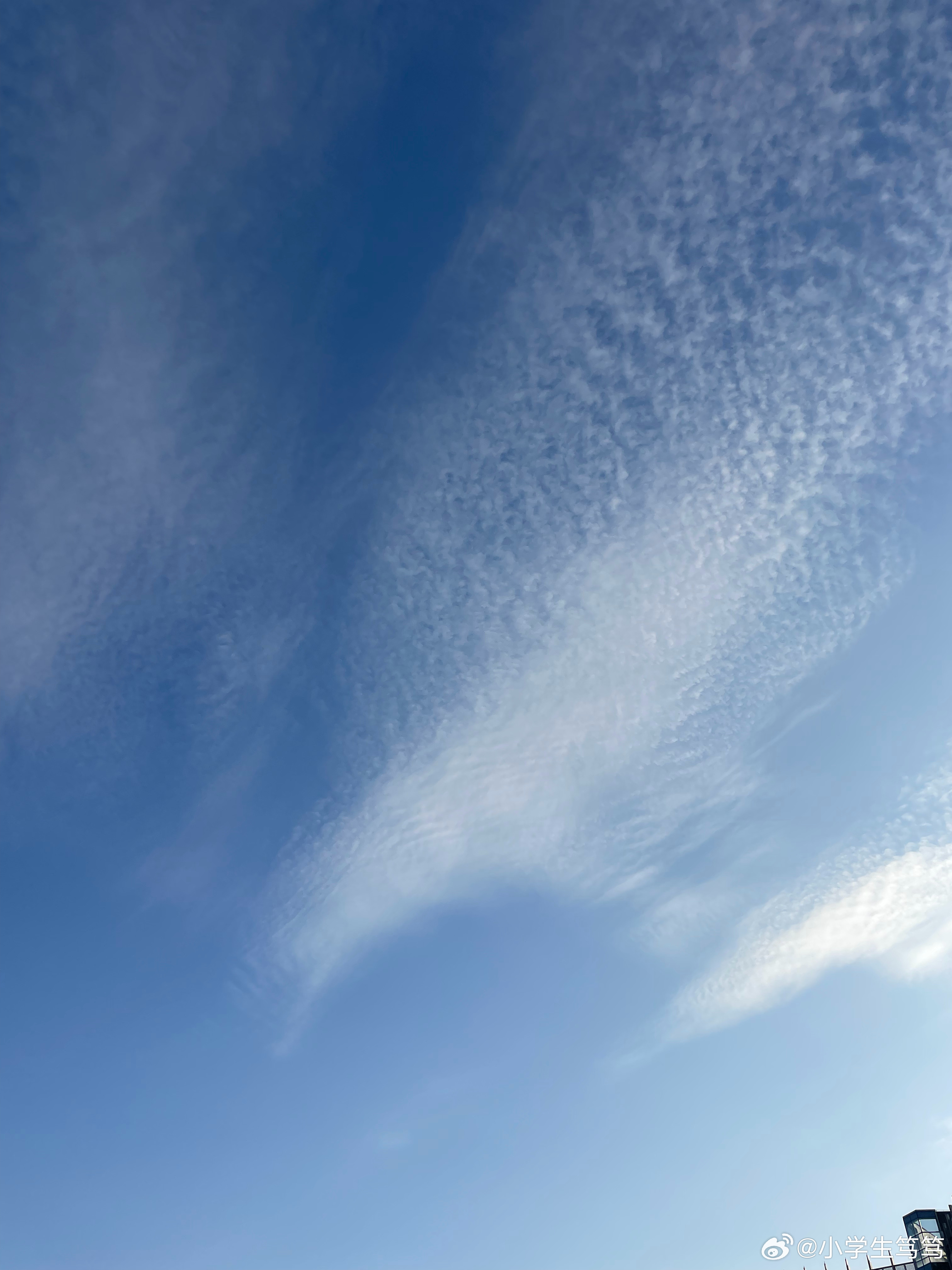 云飄飄最新，小巷深處的獨特風(fēng)味美食體驗