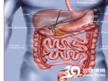 高科技產(chǎn)品重塑生活，體驗(yàn)前沿魅力，探索腸鳴最新技術(shù)
