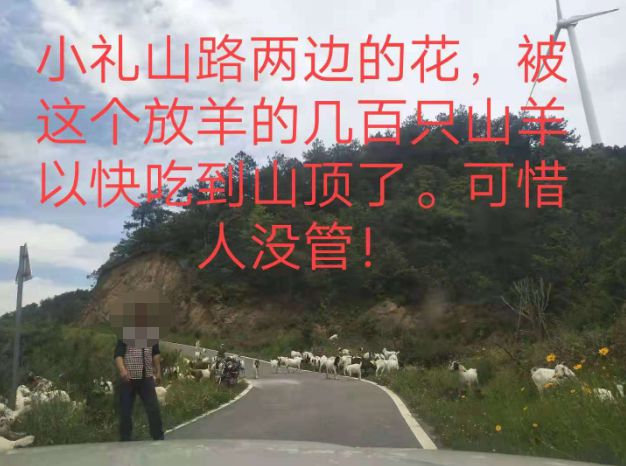 大悟最新路，探索未知，自信成就夢想之旅的啟程