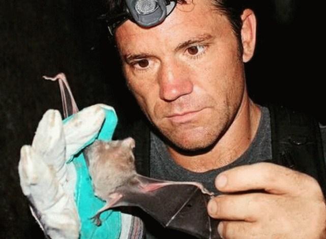 蝙蝠最新電影，自信與成長(zhǎng)的翅膀，勵(lì)志翱翔天空之旅